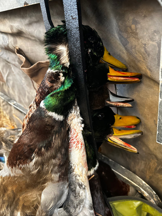 BOSS Limit Rack